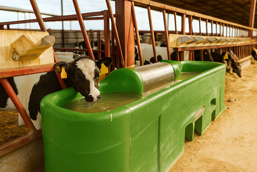 Profesjonalne rozwiązania dla Twojej Hodowli